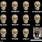 UPVOTE BEGGARS DEFENDERS*SIGH* WHAT THEY ARE SO DUMB WE HAVE TO BAN THEM | UPVOTE BEGGAR DEFENDERS | image tagged in idiot skull,stop upvote beggar defenders | made w/ Imgflip meme maker