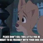 Place Don't Kill This Little Fox | PLACE DON'T KILL THIS LITTLE FOX HE JUST WANT TO BE FRIENDLY WITH YOUR DOG COPPER | image tagged in lady and the tramp 2 angel | made w/ Imgflip meme maker