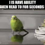 UNSCRAMBLED VERSION IN COMMENTS | I IS HAVE ABILITY TAKEN READ TO FOR SECONDS 5 | image tagged in gifs,real,parrot | made w/ Imgflip video-to-gif maker