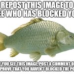 Fish meme