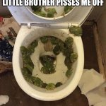 Frogs in da toilet | MY BRAIN AFTER MY LITTLE BROTHER PISSES ME OFF | image tagged in frogs in da toilet | made w/ Imgflip meme maker