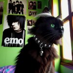 emo cat