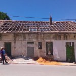 Port-au-Prince Animal Shelter