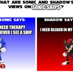 What are Sonic and Shadow's views on Sonic ships? | SONIC SHIPS; I NEED THERAPY WHENEVER I SEE A SHIP. I NEED BLEACH IN MY EYES. | image tagged in what are sonic and shadows views on | made w/ Imgflip meme maker