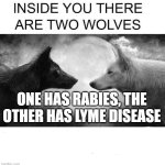 Inside you there are two wolves | ONE HAS RABIES, THE OTHER HAS LYME DISEASE | image tagged in inside you there are two wolves | made w/ Imgflip meme maker