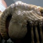 Facehugger Alien