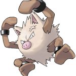 Primeape