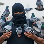 Man with pigeons