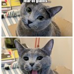 Feefiphobia Dad Joke | I've been diagnosed with a chronic fear of giants ... Feefiphobia! | image tagged in dad joke kitteh,dad joke,cat,cats,funny | made w/ Imgflip meme maker