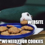 we need your cookies | WEBSITE; WE NEED YOUR COOKIES | image tagged in bunny yoink,funny,memes,cookies,website,websites | made w/ Imgflip meme maker