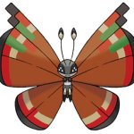 Vivillon (Archipelago Pattern)