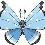 Vivillon (Tundra Pattern)