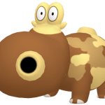 Hippopotas (Female)