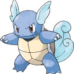 Wartortle