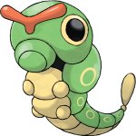 Caterpie