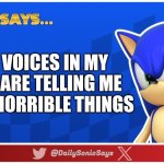 Sonic Says #43 | THE VOICES IN MY HEAD ARE TELLING ME TO DO HORRIBLE THINGS | image tagged in sonic says v3 | made w/ Imgflip meme maker