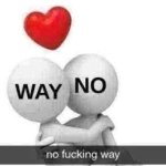no fucking way meme
