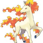 Rapidash