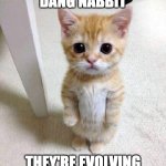 Oh No | DANG NABBIT; THEY'RE EVOLVING | image tagged in memes,cute cat,cat,cat standing,evolution,orange | made w/ Imgflip meme maker