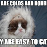 Ez to get rid off too | WHY ARE COLDS BAD ROBBERS? THEY ARE EASY TO CATCH | image tagged in cold grumpy cat,pun,puns,bad joke | made w/ Imgflip meme maker