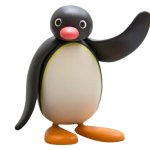 transparent pingu