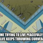 Gravity | ME TRYING TO LIVE PEACEFULLY BUT LIFE KEEPS THROWING CURVEBALLS | image tagged in gifs,cat | made w/ Imgflip video-to-gif maker