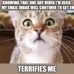 Email terrifies me | KNOWING THAT ONE DAY WHEN I'M DEAD, BUT MY EMAIL INBOX WILL CONTINUE TO GET EMAIL; TERRIFIES ME | image tagged in terrified cat | made w/ Imgflip meme maker