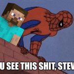 Minecraft Hmmmmm. | YOU SEE THIS SHIT, STEVE? | image tagged in do you see this shit blank | made w/ Imgflip meme maker