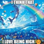 ?? | I THINK THAT; I LOVE BEING HIGH 😊 | image tagged in happy dolphin rainbow | made w/ Imgflip meme maker