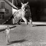 Incredible Shrinking Man