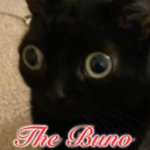 The Buno meme