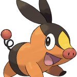 Tepig