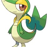 Snivy