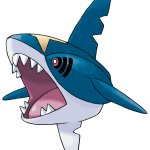 Sharpedo