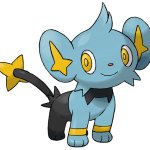 Shinx