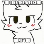 have a nice weekend!!!!!11!1111!!11!! | YOU LIKE THE WEEKEND; DONT YOU | image tagged in you like kissing boys | made w/ Imgflip meme maker