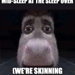 haha sleepover | WHEN BRO WAKES UP MID-SLEEP AT THE SLEEP OVER; (WE'RE SKINNING HIM ALIVE] | image tagged in donkey stare | made w/ Imgflip meme maker