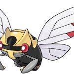 Ninjask