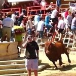 Bull charges cellphone guy