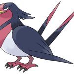 Swellow