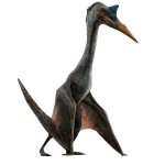 Quetzalcoatlus meme