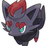 Zorua