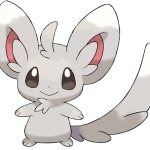 Minccino