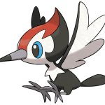 Pikipek