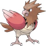 Spearow