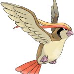 Pidgeot