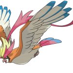 Mega Pidgeot