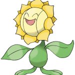 Sunflora