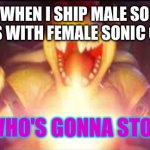 I love shipping Male sonic characters with Female sonic characters and nothing can stop me! | ME WHEN I SHIP MALE SONIC CHARACTERS WITH FEMALE SONIC CHARACTERS; NOW WHO'S GONNA STOP ME?! | image tagged in now who's gonna stop me | made w/ Imgflip meme maker