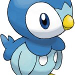 Piplup